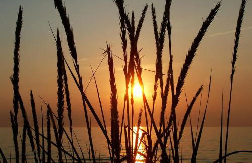 Ferienwohnung Seestern - Foto 15