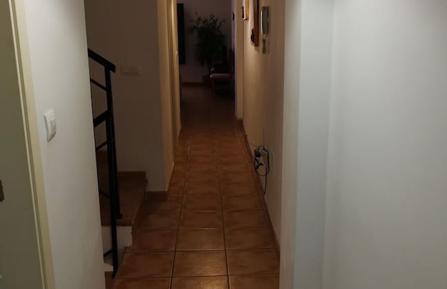 Velez Nazari - Photo 80