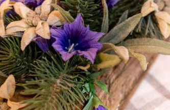 Camping Camplani - Foto 39