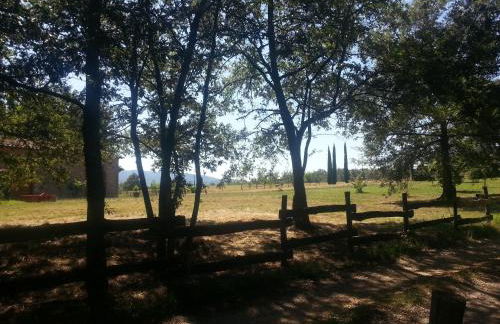 Pò delle Buche - Photo 9