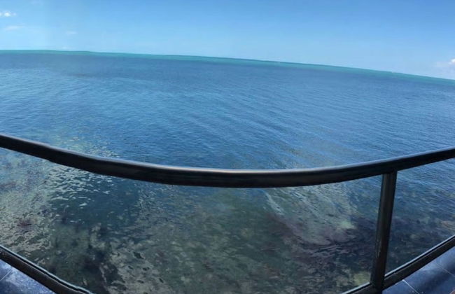 Kaeli's Caribbean Studios - Photo 68