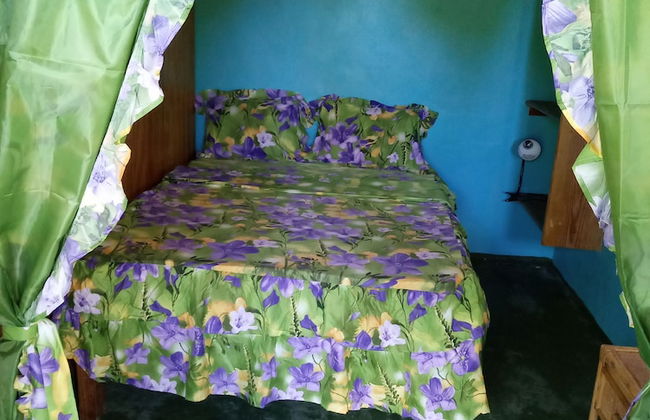 Berkey's Jungle Paradise - Photo 4