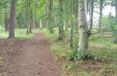 Westwood Cottage - Foto 35