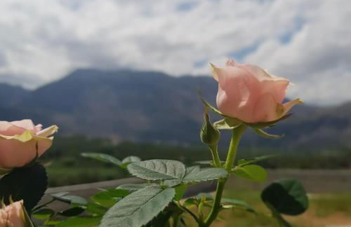 Katy's Luxury Apartments - Photo 21