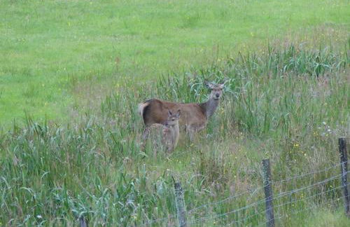 Clearwater House - Foto 49