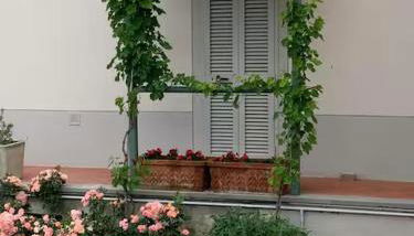 La Casina di Renzino - Foto 3, Garden, Garden view