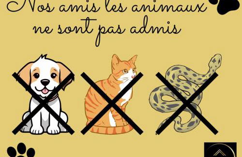 Le Regard sur La Place Léger et Raffiné - Photo 32