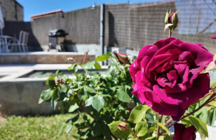 PANTON RURAL Casa Do José - Foto 34