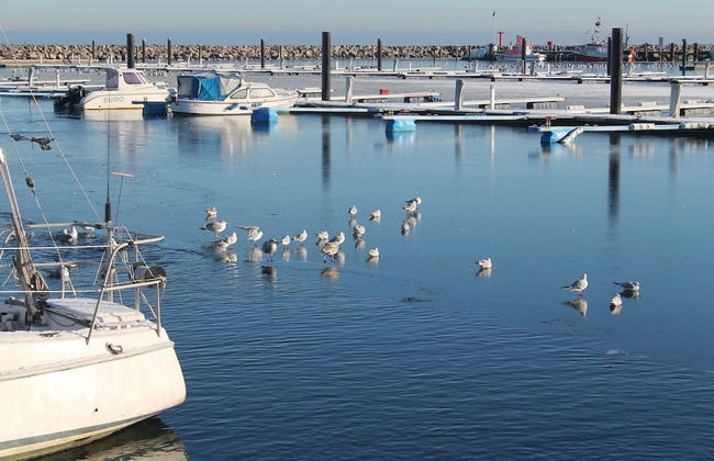 Modern Apartment in Wittenbeck With Terrace, Fenced Garden - Photo 80