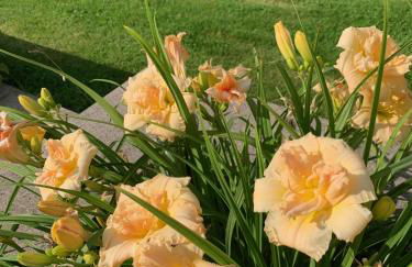 Apartments Mester - Foto 18