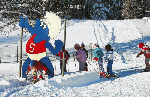Ferienpark Tennenbronn - Foto 18