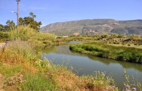 Sunrise Apartment - Photo 32