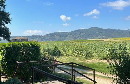 Il Forcone - Foto 11