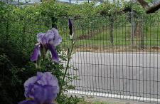 Casa Vacanze Principesca - Foto 22