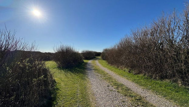 4 Person Holiday Home in Lemvig-by Traum - Foto 3, Verschiedenes