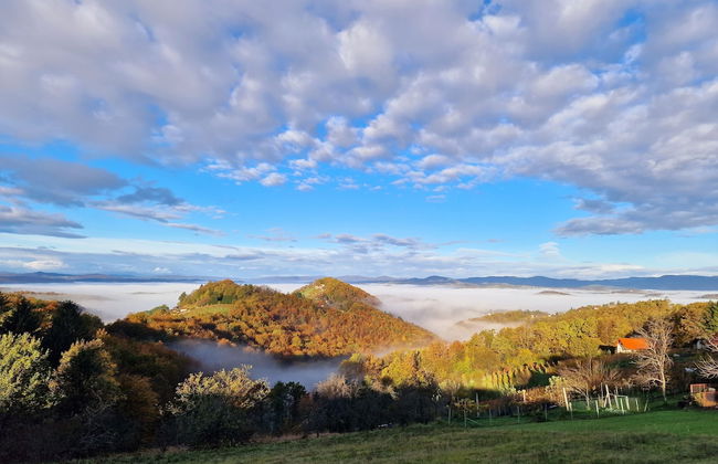 Vineyard cottage Soncni gric - Foto 35