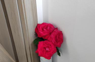 Apartman A&M - Foto 20