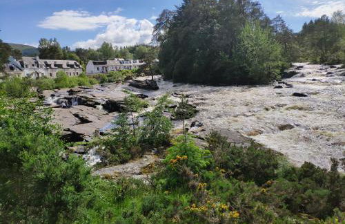 Craiglea Thistle - Foto 12