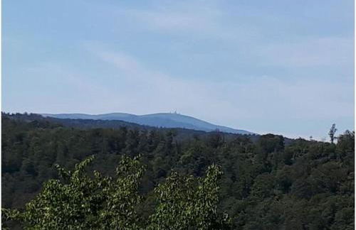 Holiday Apartment Haus Bodefurt - Apartment 2 - Foto 46