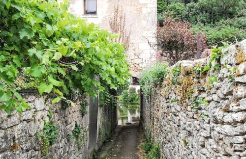 Maison de charme à Brantôme en Périgord avec piscine partagée - Foto 34