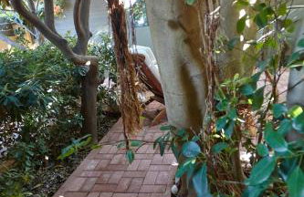 Anassa Boutique Beach House - Photo 38
