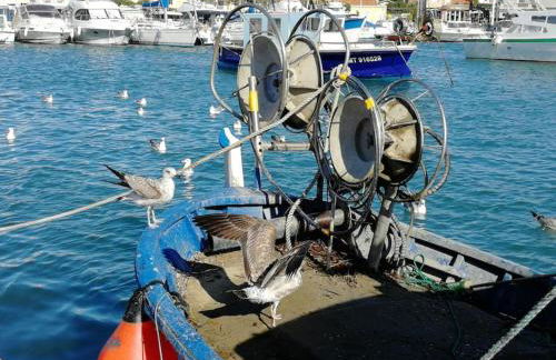 Maison de village - Gîte T3- vue mer - Plage 50 m - Foto 20