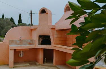 Zika's House - Foto 26