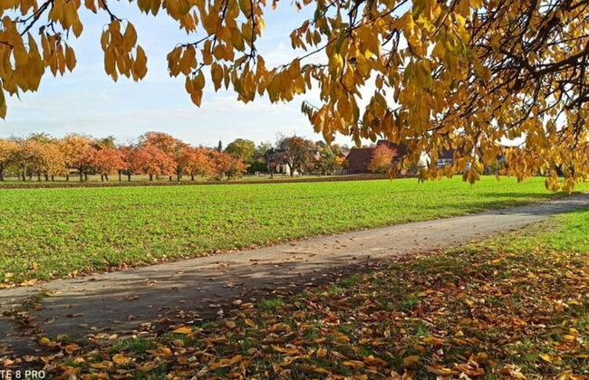 Lovely Apartment in Hesse - Foto 3