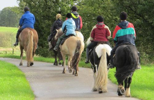 Hof Osterbunsbüll - Foto 9