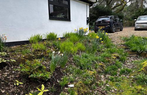 Acorn Lodge Luxury Retreat In a Stunning Oasis With Hot Tub - Pass the Keys - Foto 63