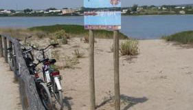 Villa Francesco & Chiara - Foto 3