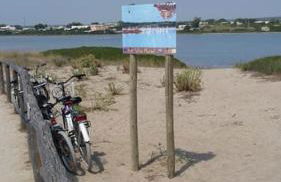 Villa Francesco & Chiara - Foto 3