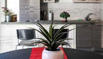 La casa del Koala - Foto 1