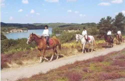 Grande maison de vacances avec piscine à Razès 190 m² - Foto 24