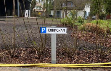 Ostseedomizil "Ankerbuk", Ferienwohnung Kormoran - Foto 14