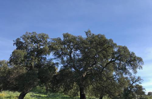 Smart Apartments Facinas - Foto 39