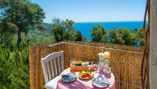 Thodoroulis - Foto 1, Other