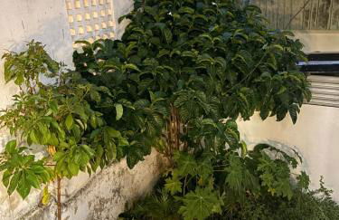 Flat Lume Boa viagem - Photo 26