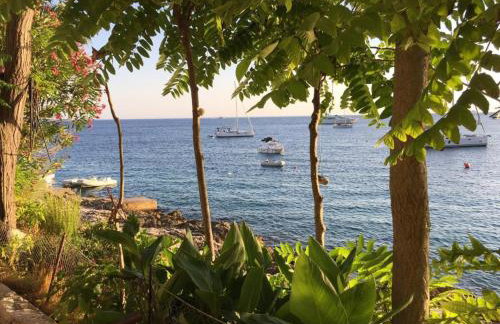 Apartments Regina - Photo 7