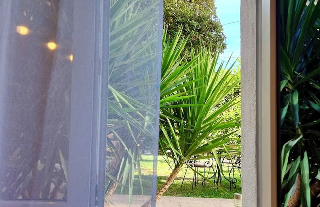 Apartment Trumbic - Photo 55