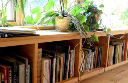 Cozy Lakefront Cabin Rental in the Woodlands of Empire, Michigan - Foto 21