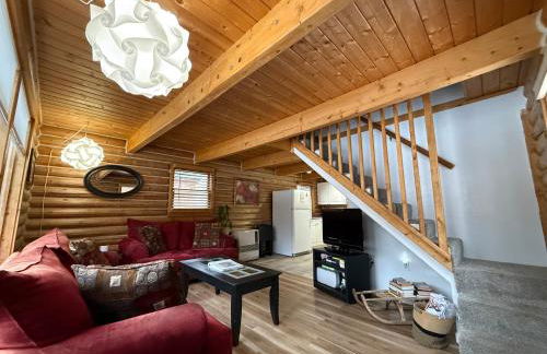 Talkeetna Log Cabin with Hot Tub Unit 2 - Foto 15