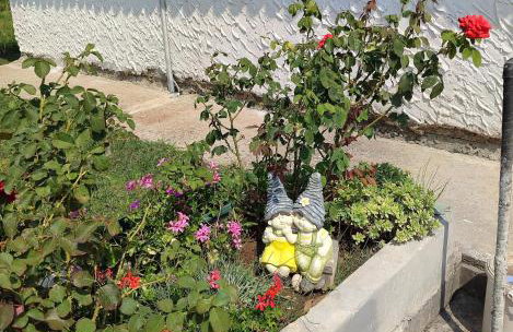 Apartman "SaraP" Metković - Foto 46