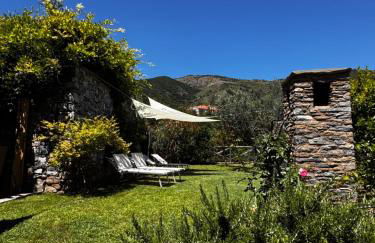 La Casa negli Ulivi - con vista Mare - Foto 1