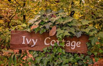Ivy Cottage Cute Cottage Along The Ocoee River - Foto 36