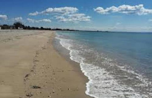 Konstantinos Apartmend Chalkidiki - Foto 1