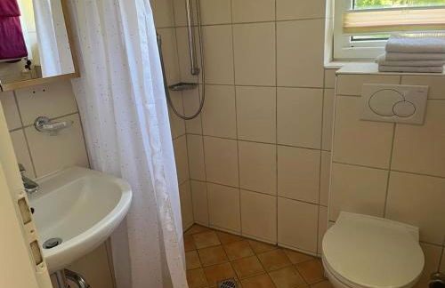 Haus Schmitten - Foto 24