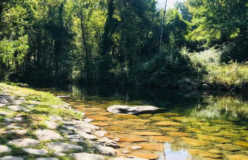 Janelas da Cabreira - Foto 4
