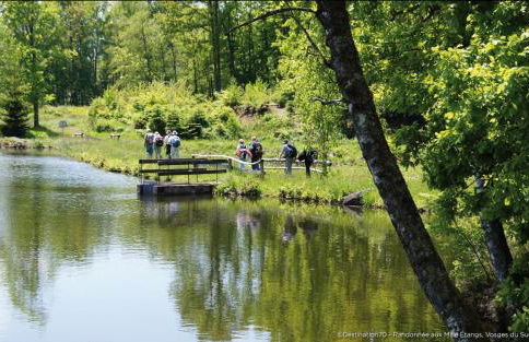 Villa Cora Venez neuve avec SPA - Foto 23