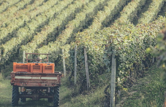 Casa Ressia - Photo 35